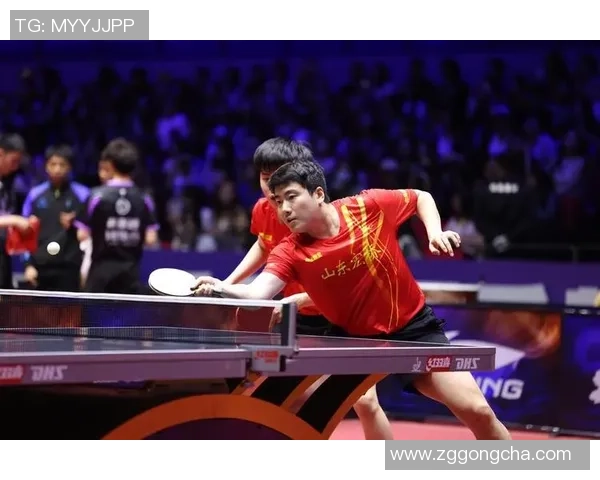 乒乓球传奇：深入探索杭州乒乓球队的训练与荣耀之路