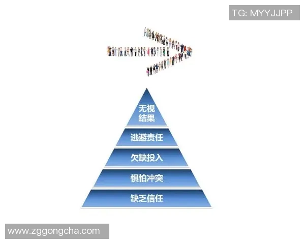 上海排球队在杯赛中的灵活战术表现与团队协作分析